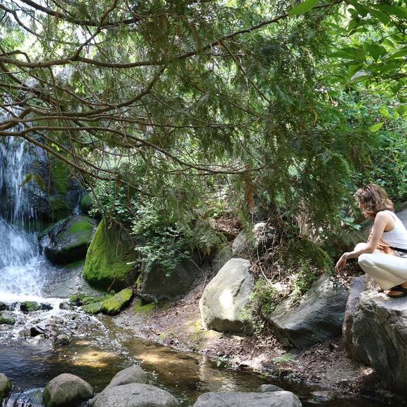 Meet your Posher, Froya - Picture 1 of 1